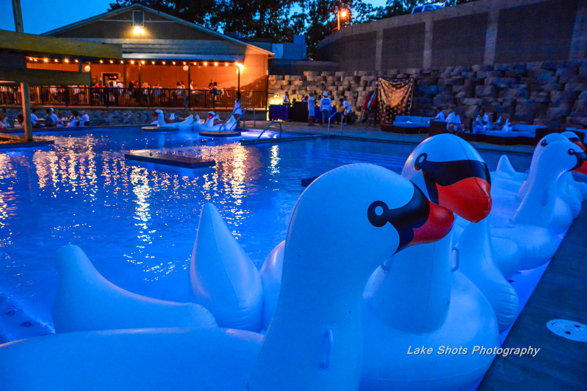 Dog Days Pool Swans